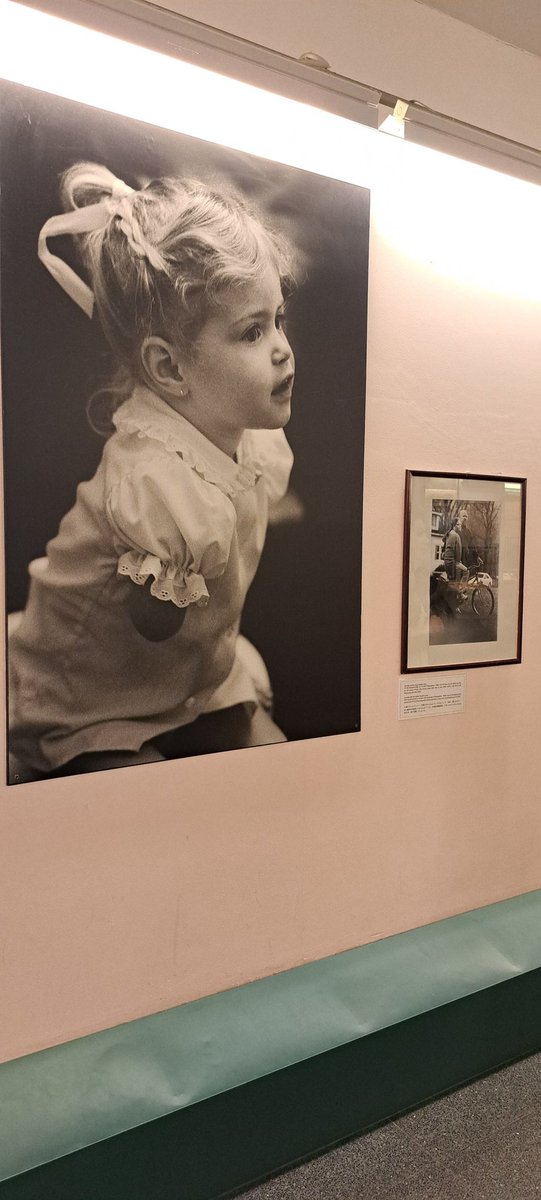 veni_ramachndrn's tweet photo. Vietnam's #WarRemnantsMuseum has an extraordinary collection of photos collected over the course of the Vietnam War. #GoroNakamura's exhibition of the atrocities and war crimes of the US by using #AgentOrange is gut-wrenching to watch and know. https://t.co/ZjmVHm7bSW