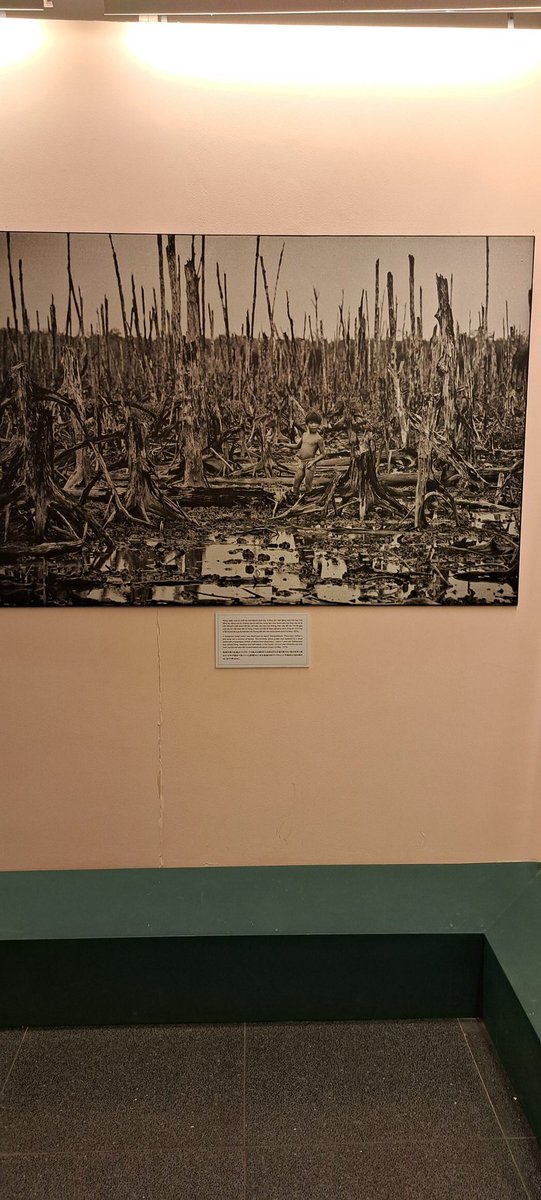 veni_ramachndrn's tweet photo. Vietnam's #WarRemnantsMuseum has an extraordinary collection of photos collected over the course of the Vietnam War. #GoroNakamura's exhibition of the atrocities and war crimes of the US by using #AgentOrange is gut-wrenching to watch and know. https://t.co/ZjmVHm7bSW