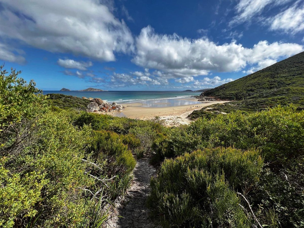 DrEmmaLJohnston's tweet photo. One of my favourite spots. #wilsonsprom #gunaikurnai https://t.co/z8osHtqenI