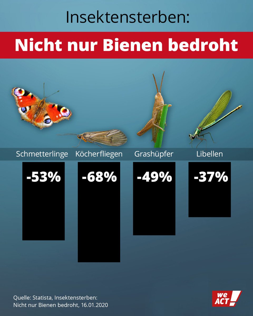 campact's tweet photo. 75% der Insektenmasse ist bereits verloren! 🦋😢 Das ist fatal und hat konkrete Auswirkungen auf unser Ökosystem, unsere Ernährung und unsere Lebensgrundlage. Unterzeichne JETZT die WeAct-Petition: https://t.co/UDqSDiUcgG https://t.co/ZtZlc3d8r6