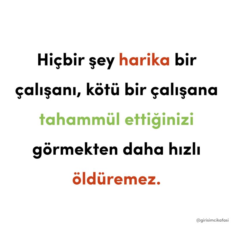 Eda Sefer (@edmsfr) on Twitter photo 