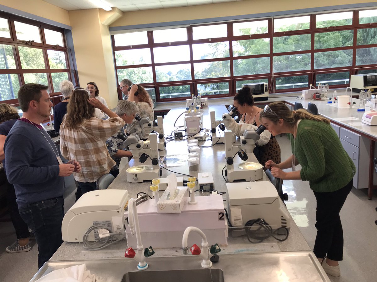 Science Learning Hub tweet media