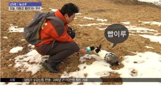 자빱 얘기하는 계정 tweet media