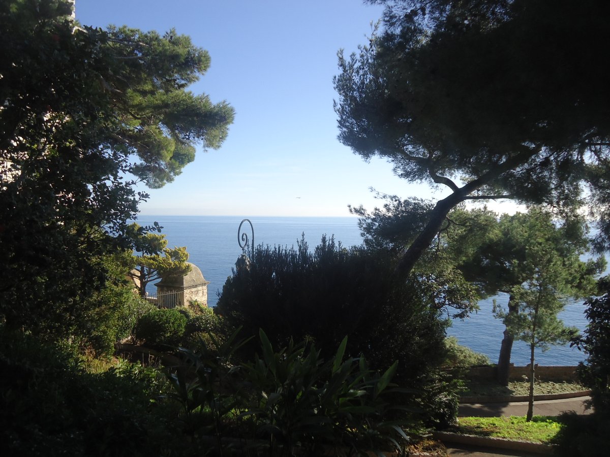 KathelijneVL's tweet image. 👑🌱 Royals and the climate @ allaboutroyalfamilies.blogspot.com/2021/04/royals…
#climate #royals #forfuture #allaboutroyalfamilies #Monaco #UnitedKingdom