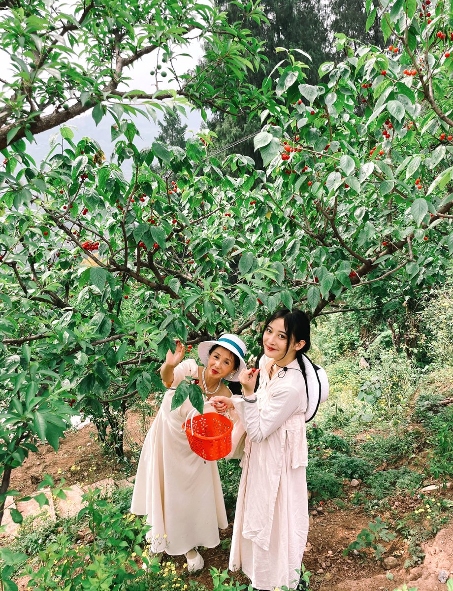 春天就去摘樱桃吧～ https://t.co/K0gVnVxnu0