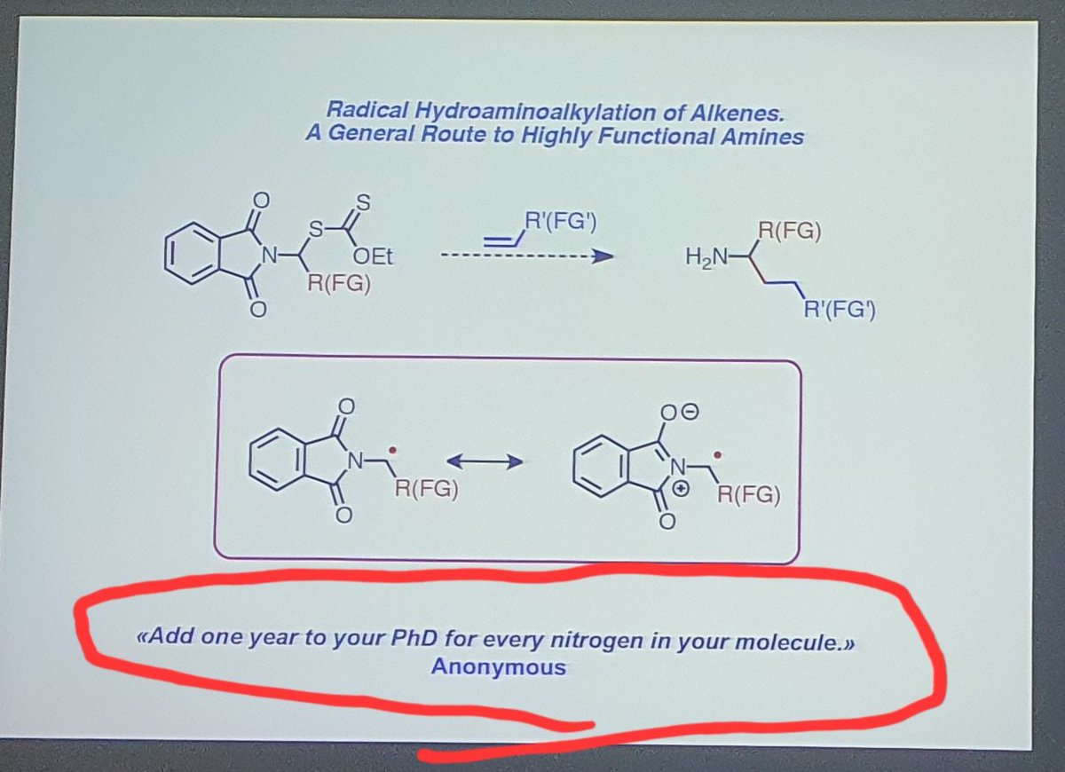 Cina Foroutan-Nejad 🇮🇷 🇵🇱 tweet media