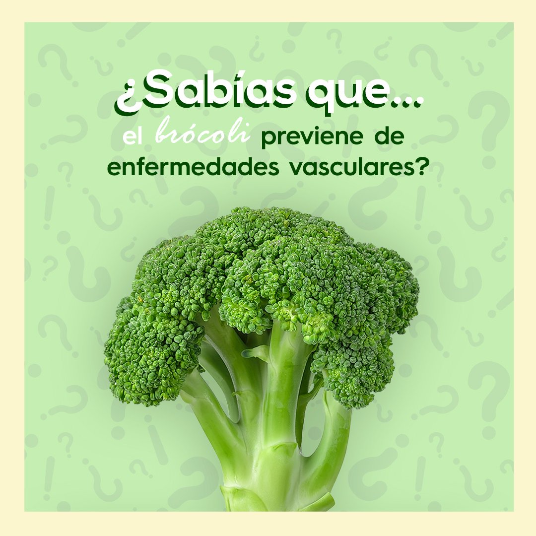 Debido a su alto contenido en vitaminas E, A, B, K y C el brócoli fortalece el sistema inmunológico, mejora la visión y previene de enfermedades vasculares al evitar bloqueos en las arterias.🥦

#plantawa #brócoli #alimentacionsaludable #cultivo #sabíasque #huertourbano