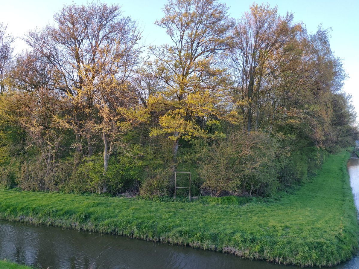 boyscoutshvh's tweet photo. Dit weekend is het Westland Scouting Speltakel op het labelterrein Staelduin.
De Boy Scouts doen hieraan mee. https://t.co/iGSxBPsUcr