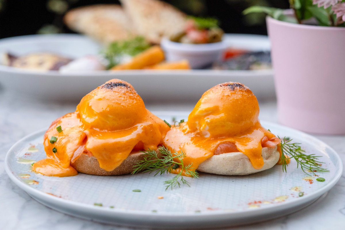 BUNSLONDON's tweet photo. Brunching into the weekend like it's an art form! Fridays are for indulging in delicious bites, sipping on bottomless mimosas and creating unforgettable memories with loved ones. Join us as we elevate brunch and celebrate the joy of Fridays in style!

📍 BUNS West Hampstead https://t.co/m42QZuiICF