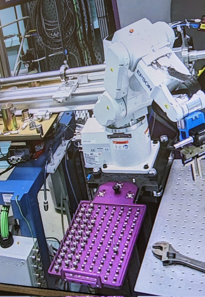 Dr Natasha Stephen tweet media