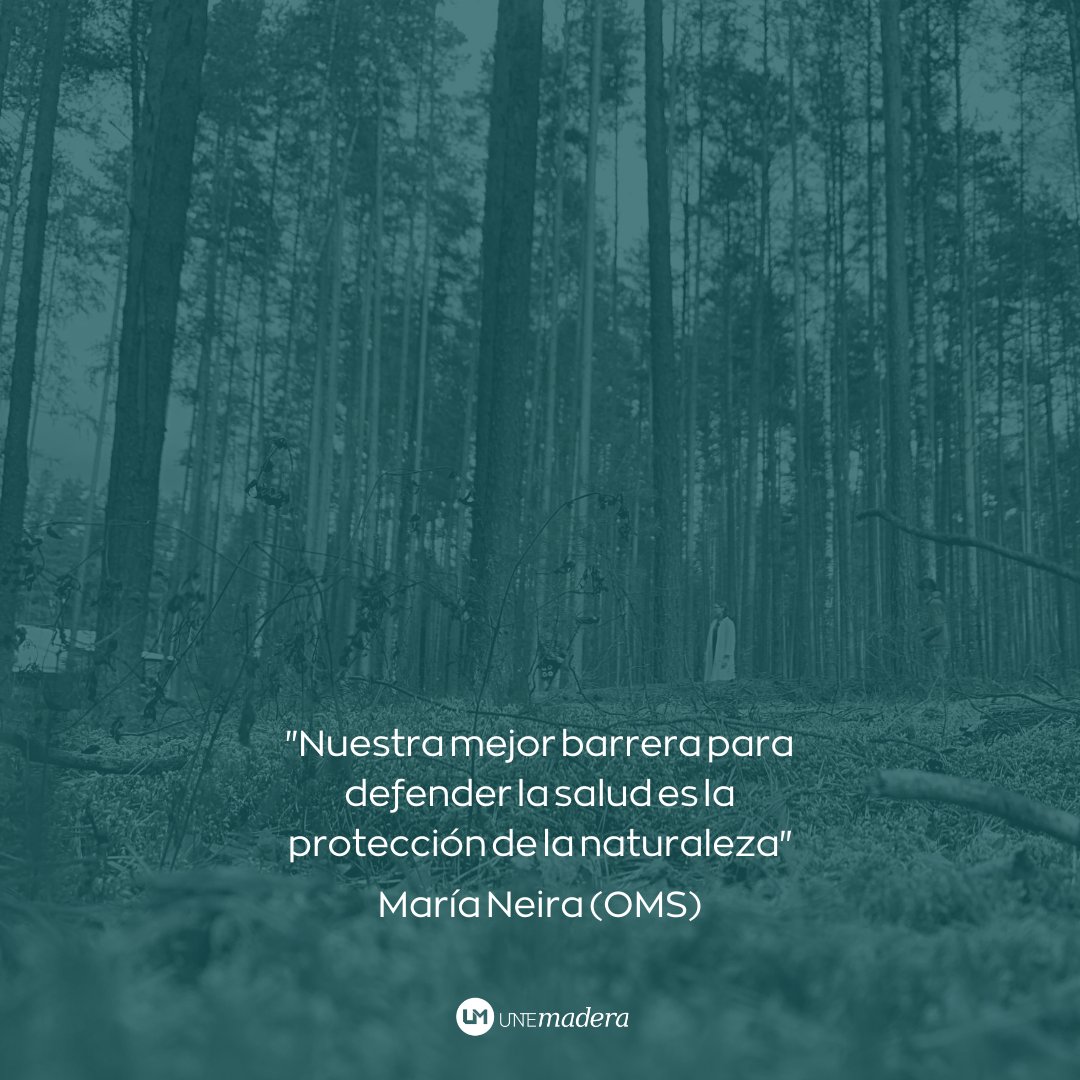 unemadera's tweet photo. "Nuestra mejor barrera para defender la salud es la protección de la naturaleza"
María Neira (OMS)
#UNEmadera #PlanetaMadera #industria #madera #mueble #bosque #sectorforestal #sostenibilidad #sostenible #forestal #salud #saludable #naturaleza #MariaNeira https://t.co/yuzQR1O8Yz