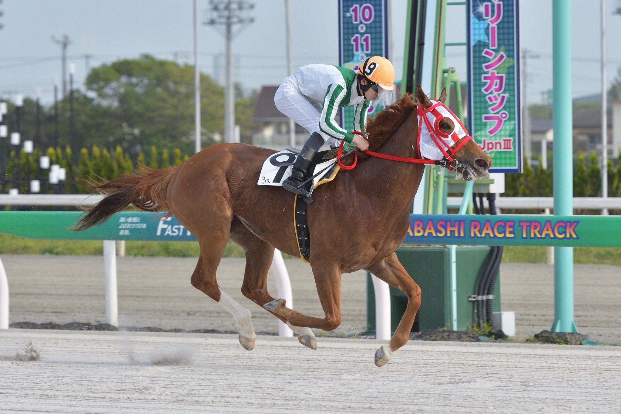 バカラ　走る馬 バカラBaccarat 走る馬 クリスタル インテリア