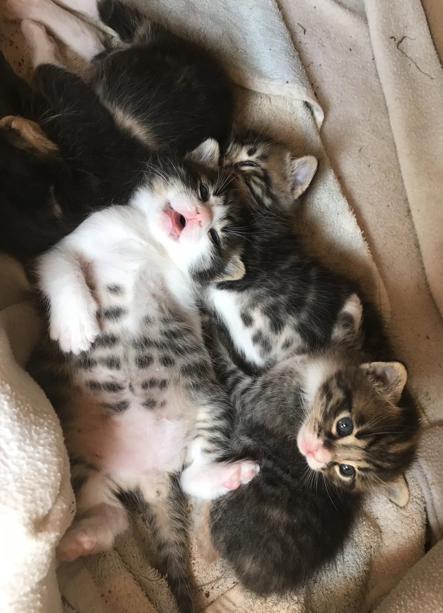 Sahurda suyu fazla kaçırınca benim görüntüler….