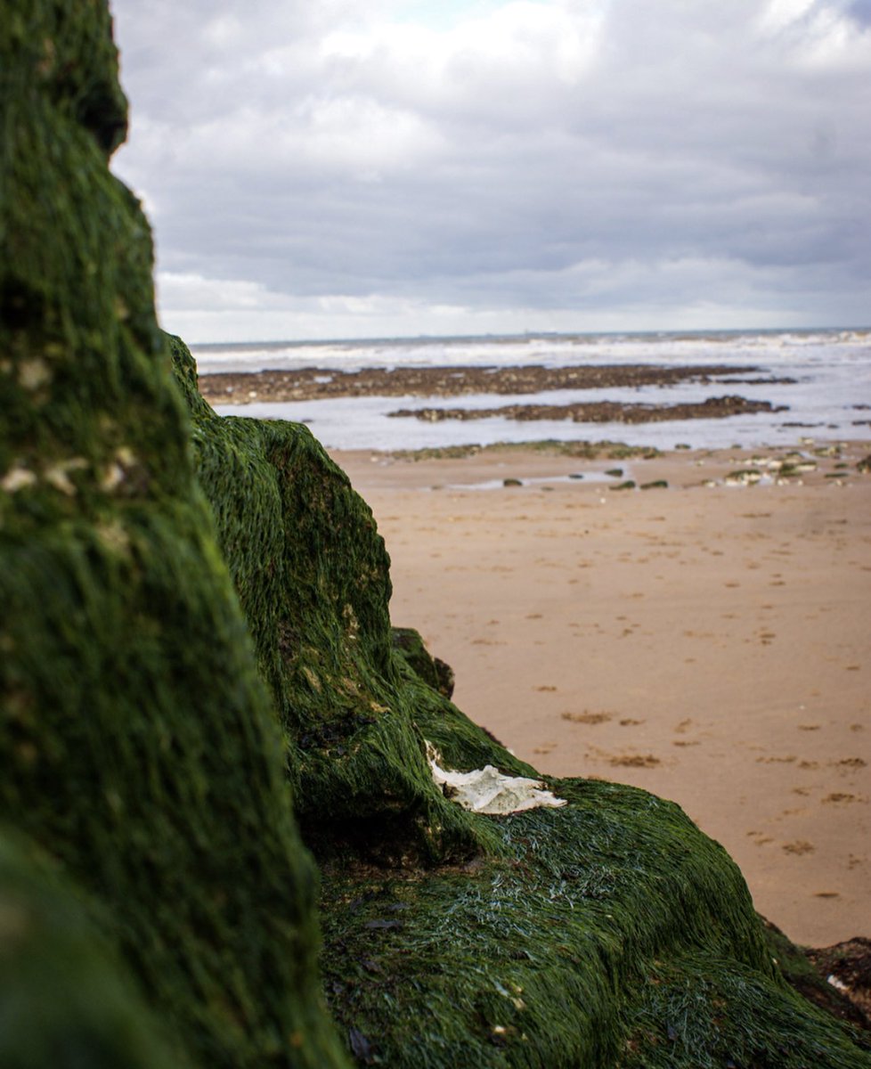 Botany Bay 📸📸
.
#thanet #kent #botanybay #broadstairs #southeast #ThePhotoHour #bbcsoutheast #itvmeridian #explore #photooftheday #beach #views #uk #photographer