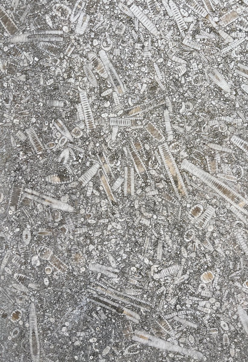 #FossilFriday Beautiful slabs of crinoidal limestone facing the Mint Works in Kendal. Cumbria ⁦<a href="/GeolAssoc/">Geologists' Assoc</a>⁩ Kendal Conference ⁦<a href="/GeoWeekUK/">GeoWeekUK</a>⁩ ⁦<a href="/CardiffCurator/">Cardiff Curator</a>⁩