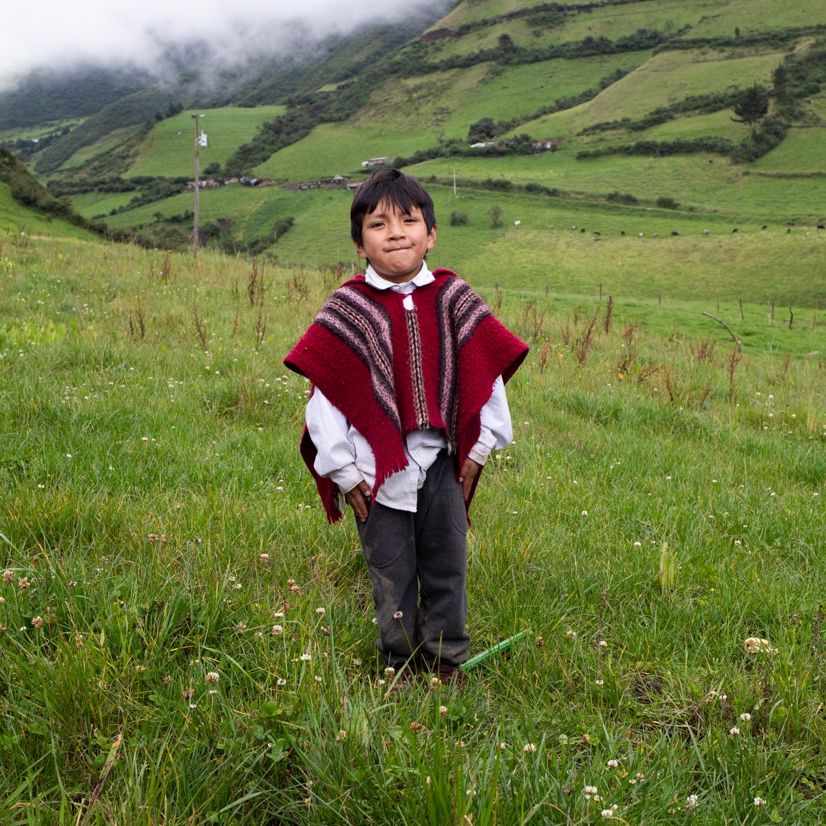 Entreculturas's tweet photo. En Entreculturas sabemos que la educación es la herramienta más poderosa para transformar el mundo a favor de la justicia y la igualdad. Por eso, trabajamos cada día para promover el acceso a la educación en cualquier rincón del mundo. https://t.co/8zFV9tix3K