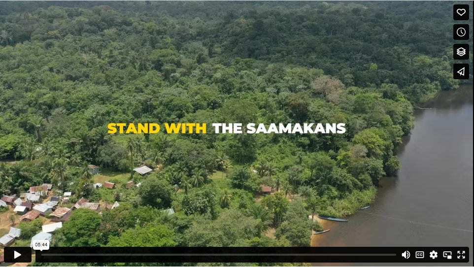 The #Saamaka people in #Suriname ask the international community to stand with them to defend their #land against intrusive #forest destructive activities and to demand that the government grants legal recognition of their #ancestral rights to the land 🎞️vimeo.com/817242011