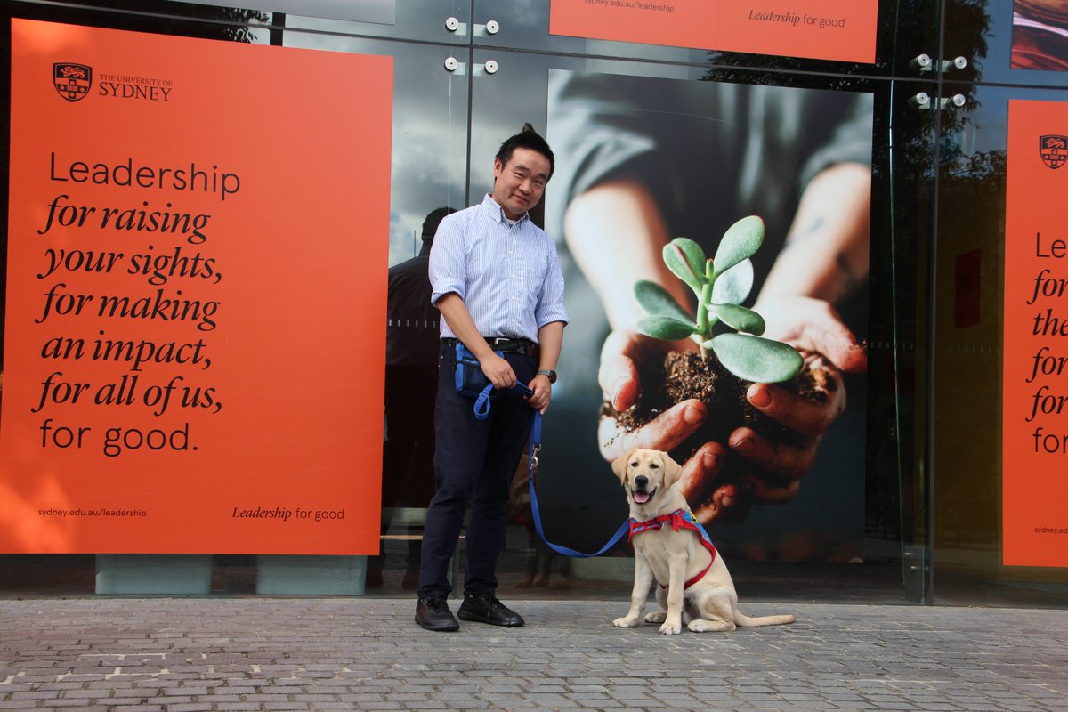 Yixiang Gan (@drgan) on Twitter photo If you see me walking in the campus of <a href="/SydneyUni_Media/">Sydney Uni Media</a> <a href="/Eng_IT_Sydney/">Engineering Sydney Uni</a> with a pouch and a leash, I am training an <a href="/AssistanceDogs/">Assistance Dogs Australia</a>, Jaya, 6 month old Labrador. See below. If you see me walking in the campus of <a href="/SydneyUni_Media/">Sydney Uni Media</a> <a href="/Eng_IT_Sydney/">Engineering Sydney Uni</a> with a pouch and a leash, I am training an <a href="/AssistanceDogs/">Assistance Dogs Australia</a>, Jaya, 6 month old Labrador. See below.