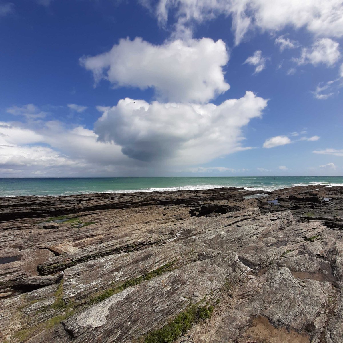 littoral_cdl's tweet photo. 🚧Lancement des travaux au Phare des Chats #IledeGroix #Bretagne où le @littoral_cdl protège 260ha d’un environnement naturel exceptionnel. Restauration du bâti et création d’un gîte patrimonial éco-responsable pour un tourisme respectueux de la #nature. #FranceRelance #littoral https://t.co/O3aeH3iwK7