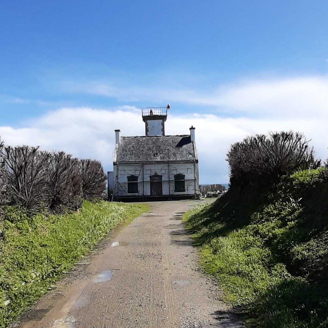 littoral_cdl's tweet photo. 🚧Lancement des travaux au Phare des Chats #IledeGroix #Bretagne où le @littoral_cdl protège 260ha d’un environnement naturel exceptionnel. Restauration du bâti et création d’un gîte patrimonial éco-responsable pour un tourisme respectueux de la #nature. #FranceRelance #littoral https://t.co/O3aeH3iwK7