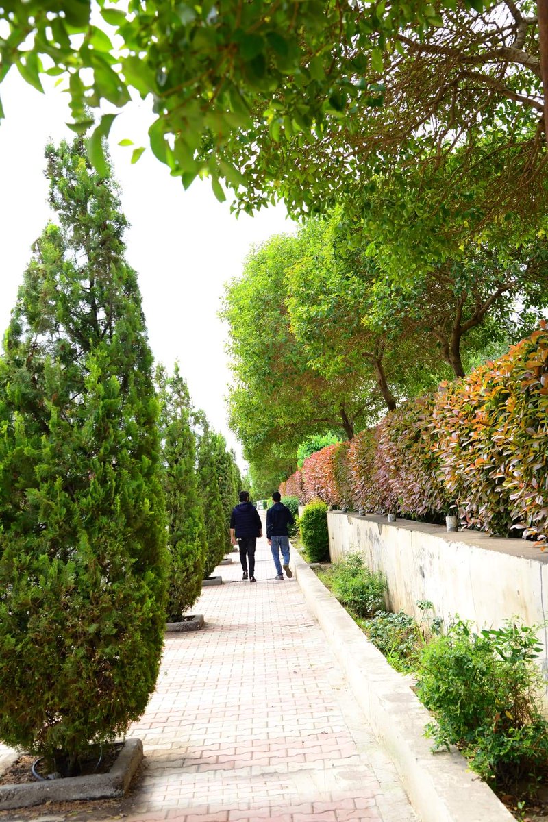 NyazAzeez's tweet photo. Great City! Erbil is becoming greener by the day, with an abundance of gorgeous gardens enhancing the city's beauty. 
Are you ready to enjoy the splendor of this thriving urban center? 🌿🌸 #Erbil #Greenery #Gardens #NatureEnthusiasts" https://t.co/L8mVpK0gfj