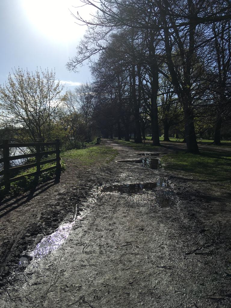 Lovely morning on Tyne Green today (thanks Wendy for 📸)

More rain forecast later today so puddles won't disappear by tomorrow. It's fairly slippery in places too. May be a morning for trail shoes
#loveparkrun #dfyb