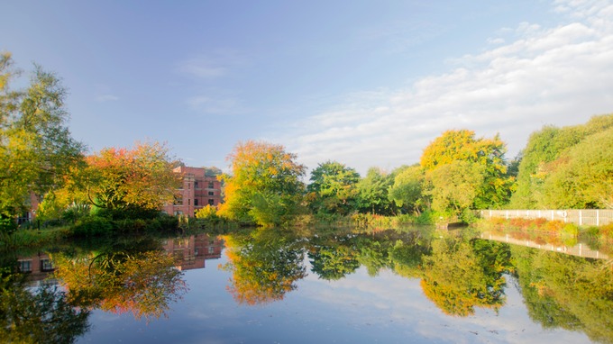 TheLiberal_ie's tweet photo. Met Eireann forecasts a weekend of pleasant weather, with mostly dry conditions during the day, though there will be some light rain towards evening time #TheLiberal Click Link here- https://t.co/cO0XReqRhg https://t.co/VGNcG0I9wc