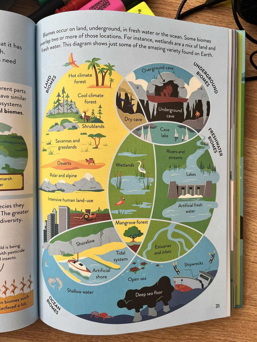 prenticeweil's tweet image. Proof of our new book on my desk! It's beautiful!

Really proud of what we did. @IssyKey @cecilegirardin @OwenTLewis @AlexFrithAuthor @Usborne