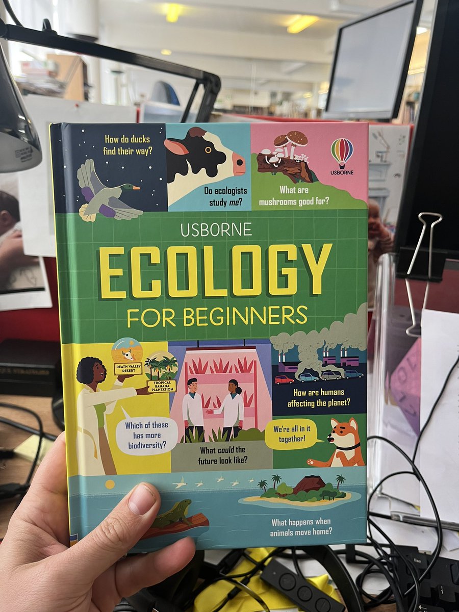 prenticeweil's tweet image. Proof of our new book on my desk! It's beautiful!

Really proud of what we did. @IssyKey @cecilegirardin @OwenTLewis @AlexFrithAuthor @Usborne