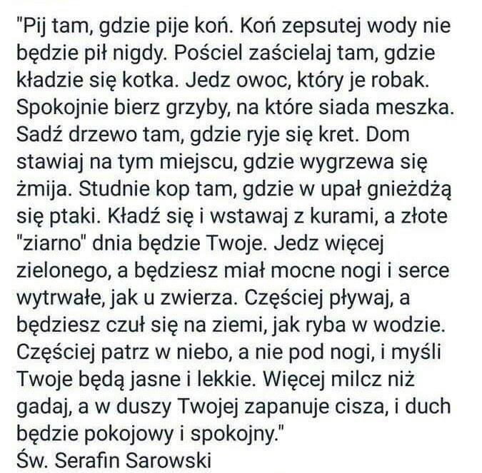 Wojciech W. Ruda (@leminerai) on Twitter photo 