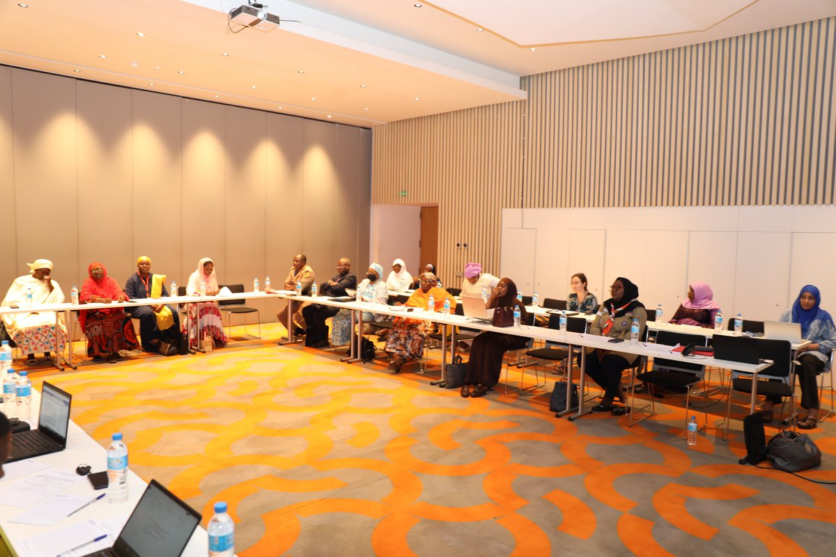 PNUD Niger tweet media