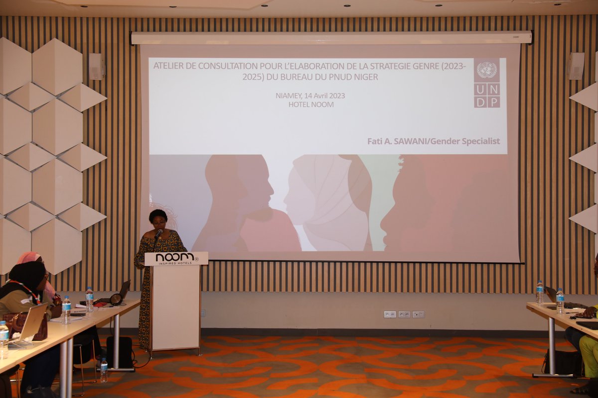 PNUD Niger tweet media