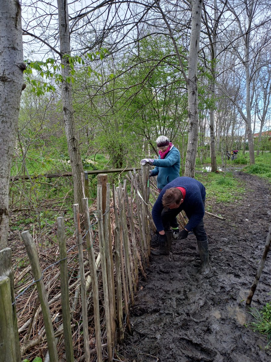 TCVHaringey tweet picture