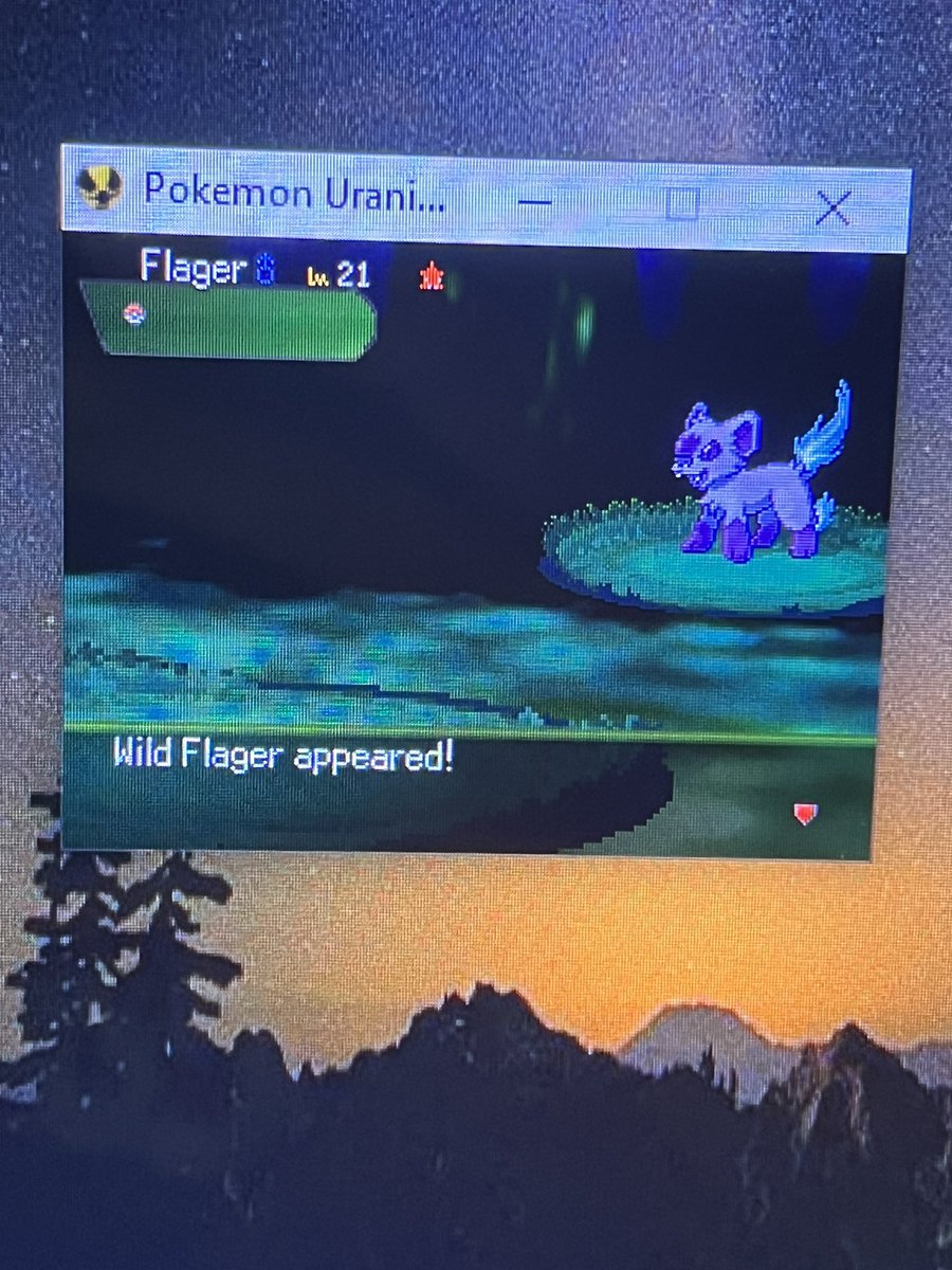 Tsgnwn's tweet photo. Shiny flager after 218 random encounters in uranium with shiny charm (107/194) #pokemon #shinypokemon #flager #pokemonuranium https://t.co/BHHnsJoNoB