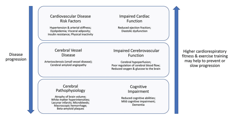 CardiologíaDeportiva tweet media