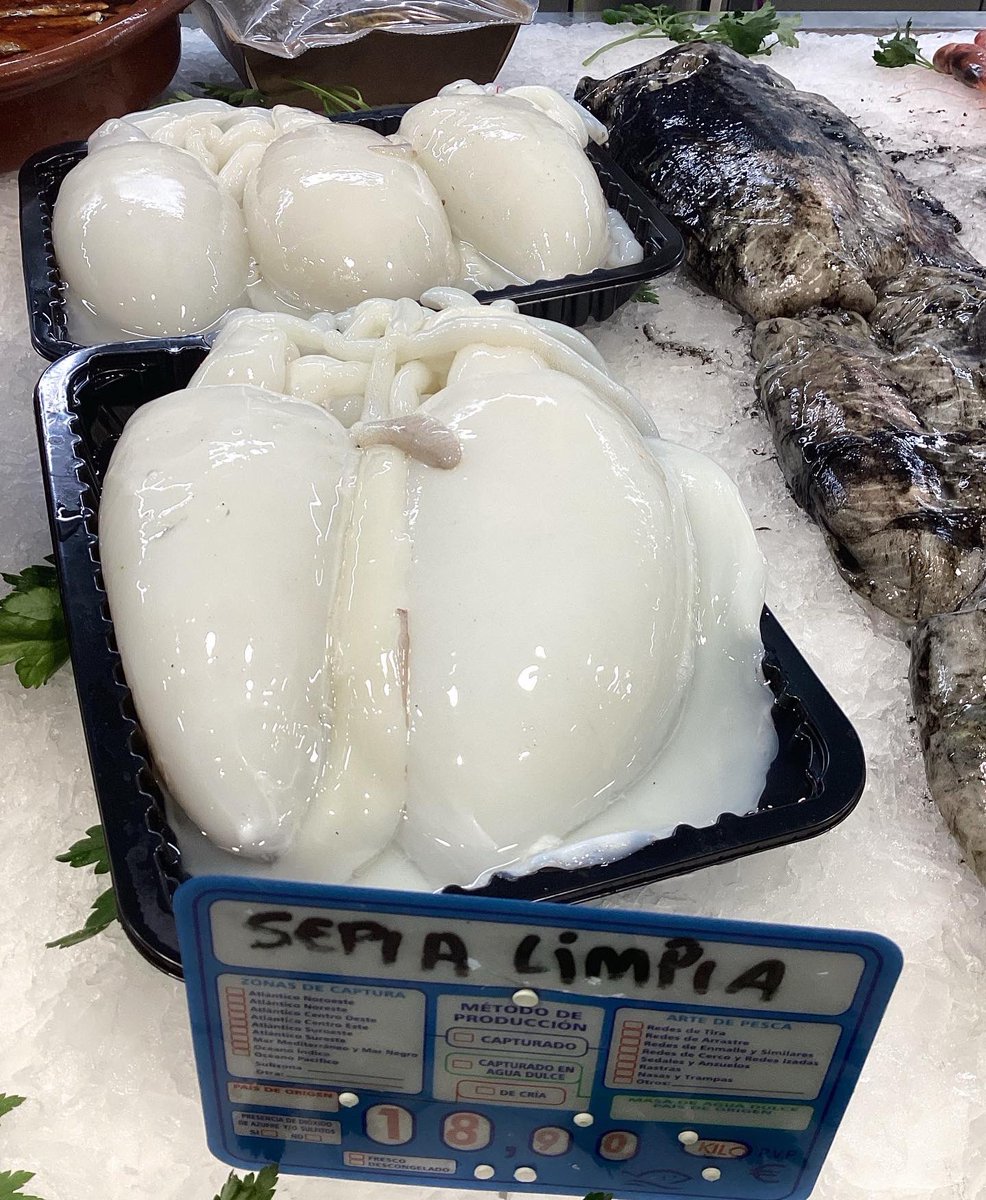 MercatDelesbob2's tweet image. Avui teniu el marisc ben fresc! 
Calamarset, calamar de platja, sípia fresca o bruta i sípia neta 🦑🦑🐙

📌Peix i Marisc Patzig i García

#marisc #mariscfresc #calamar #sipia #calamarcets #sepia #calamarcitos #productefrec #mercat #fesmercat #femmercat