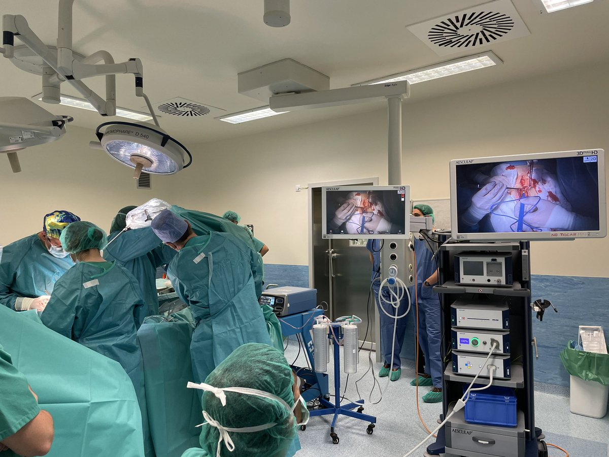 antonia_vaquero's tweet image. I workshop Fasciotens en el H U Infanta Sofia @DrJDSanchezPhD @aecirujanos @paredabdhuis