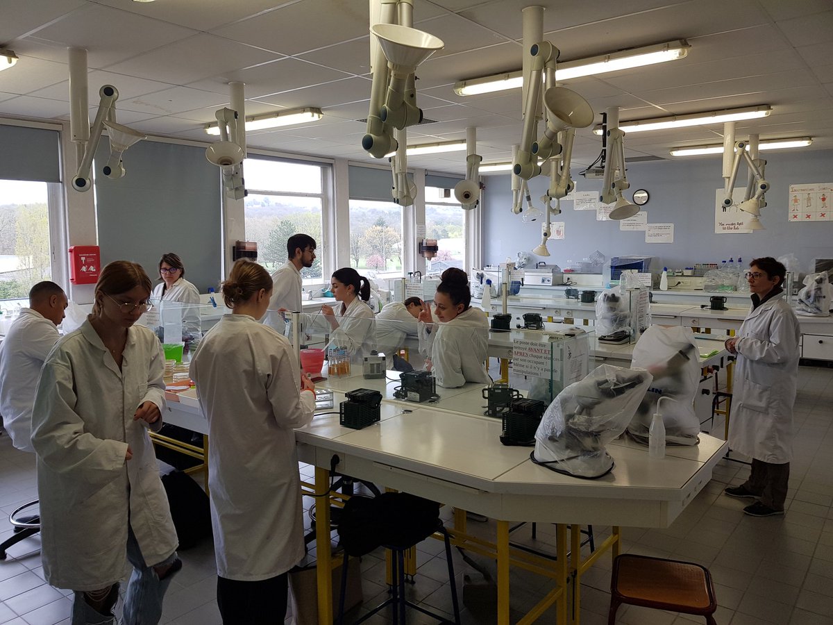 BioAC Borde-Basse tweet media