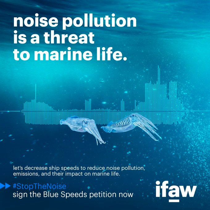 SkyLaGatta's tweet photo. Call on the EU to adopt #BlueSpeeds, an EU-wide measure for the implementation of slower 🚢 speeds, to reduce noise pollution, emissions, and the risk of collisions btw ships and whales 🐳#StopTheNoise
✍️ https://t.co/Yi27uPryRU
Marine animals rely on sound for their survival. https://t.co/3ya2Ol5RZP
