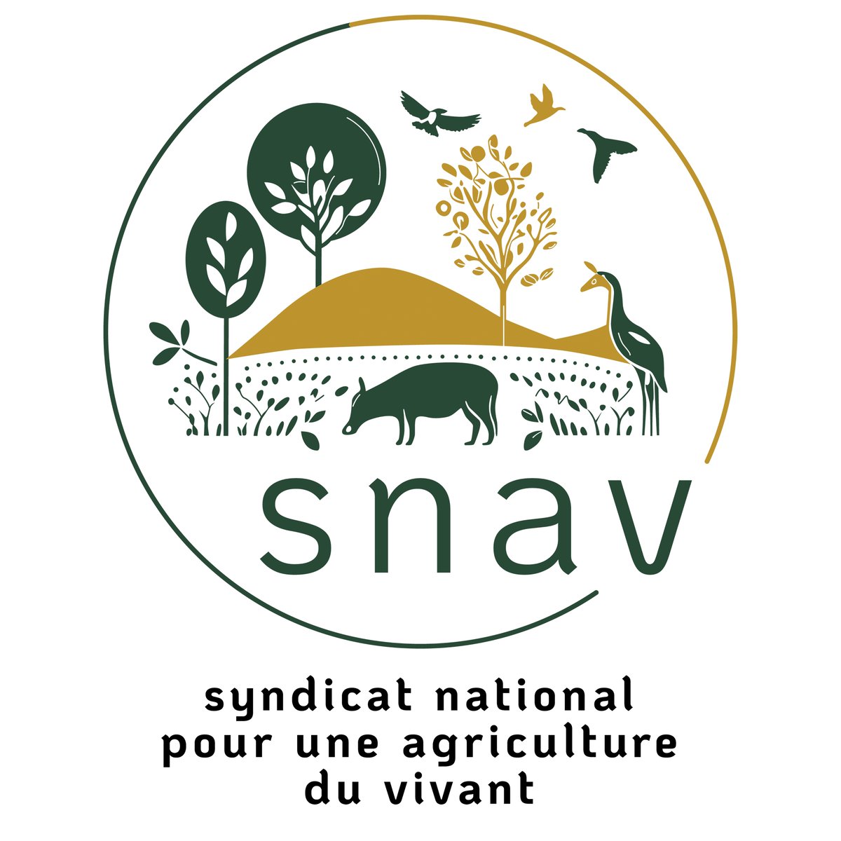 xrFrance's tweet photo. 🔴 #CongrèsFNSEA2023 : la #FNSEAdevientSNAV ! Lors de son discours, @rousseautrocy, nouveau président du #SNAV (ex-#FNSEA), revient sur la responsabilité de la FNSEA et sur son échec à promouvoir un système #agricole viable socialement, écologiquement et même démocratiquement https://t.co/cOUnh2p7Kq
