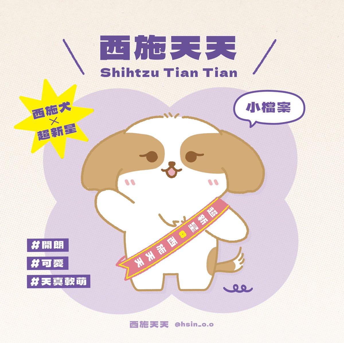 西施犬- 王大胖寵物坊, image size:1200x1199