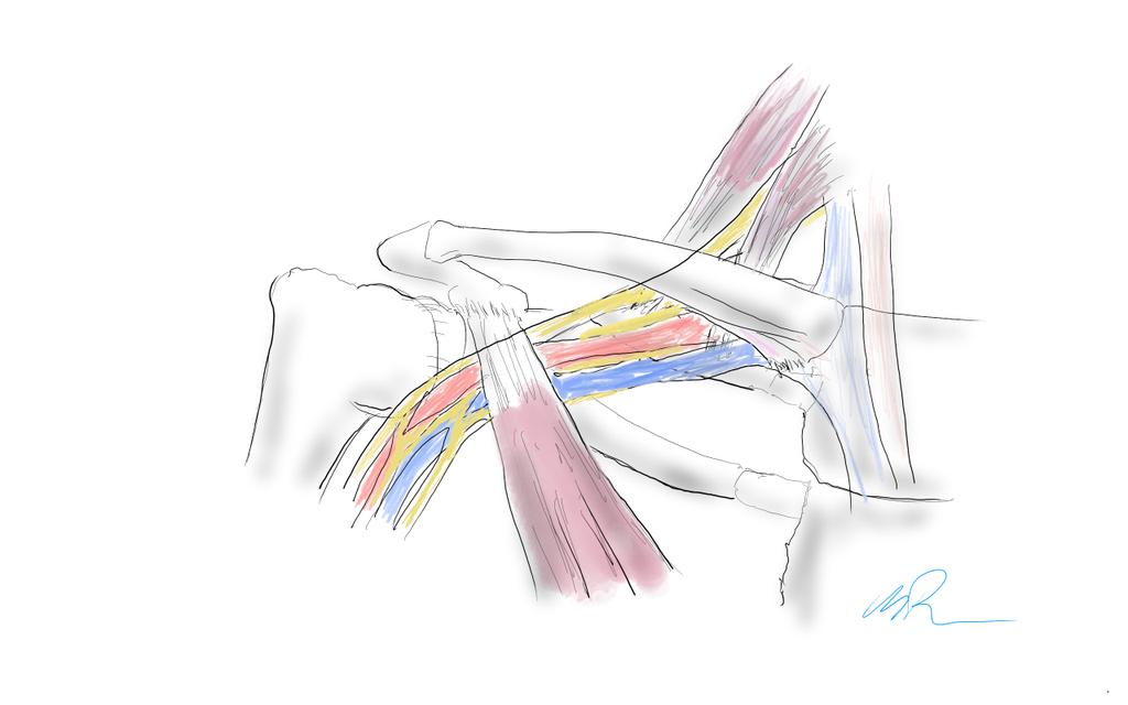 W. Michael Park, MD tweet media