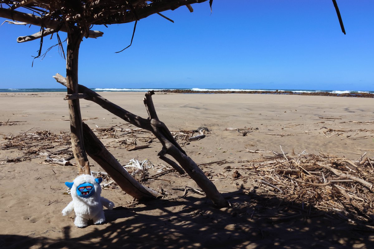 Where would you take your Monsta Plushie for an adventure?

Burn 1 MPOP at monstapop.com and claim your plushie to participate in next months competition.