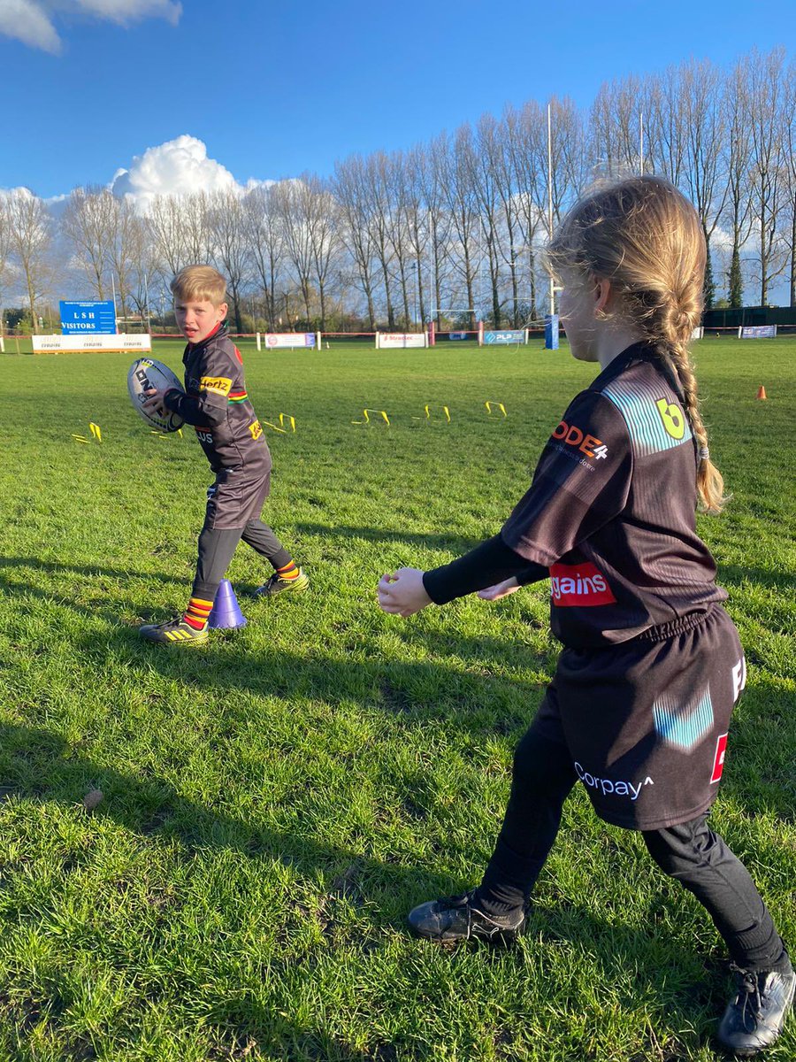 Kurt Haggerty Elite Rugby Coaching tweet media