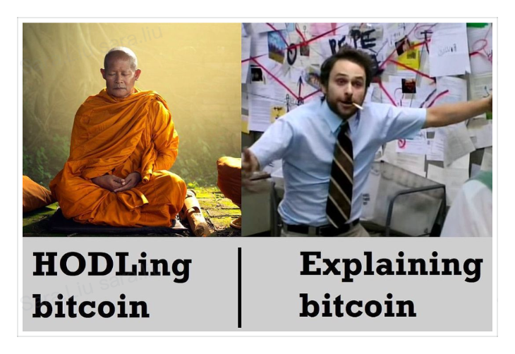 Bitget Wallet 🩵 tweet media