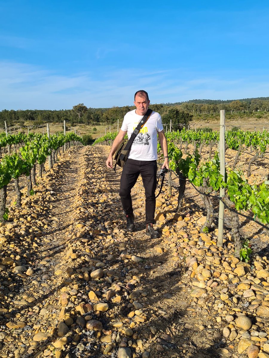 Jamie Goode tweet media