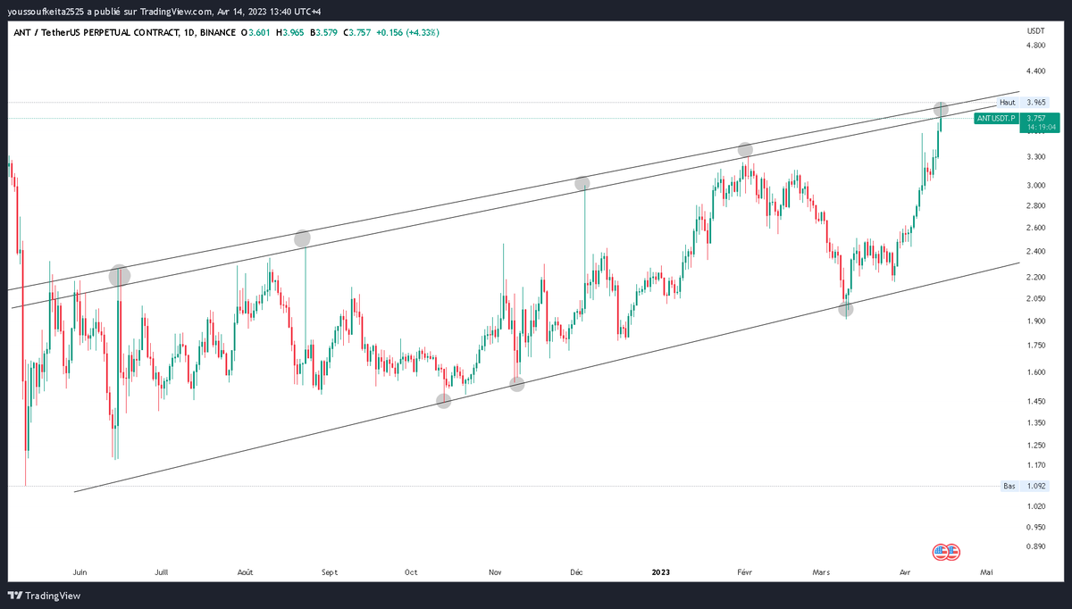 Cryptomoisey tweet media