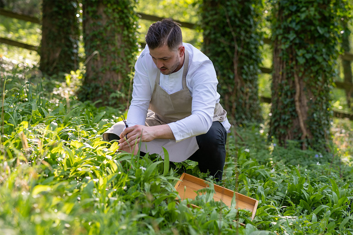 Meet the Chef! 👨‍🍳 Read our interview with Ricki Weston @whatleymanor - one of Britain’s most exciting rising stars of modern British gastronomy 🥘@Whatley_Manor @pobhotels #chef #ChefInterviews #FoodandDrink #GreatWestWay #malmesbury #thecotswolds

britishtraveljournal.com/interview-with…