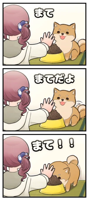 しばお
#prsk_FA #プロセカ 