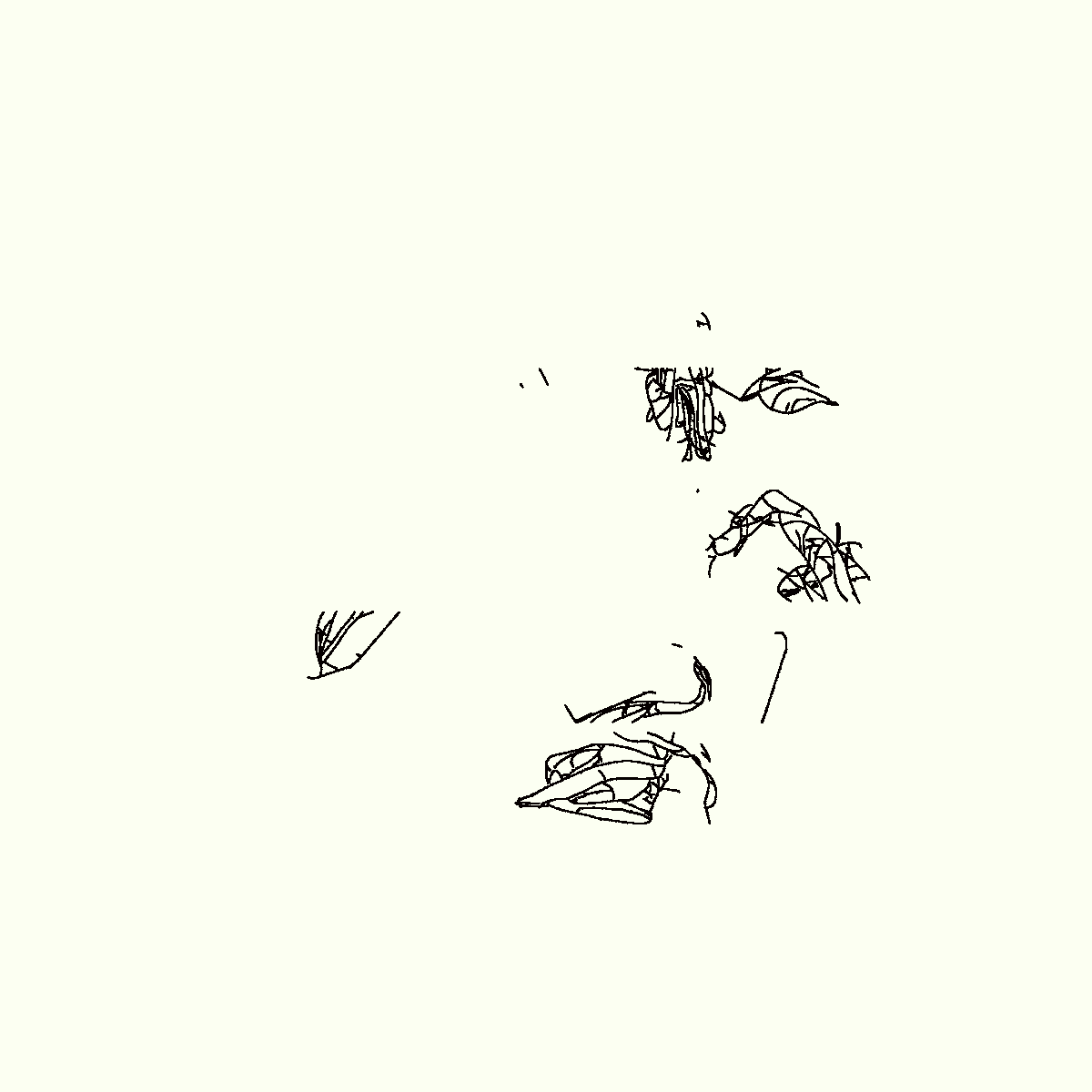 20230414060003 (522 snails)